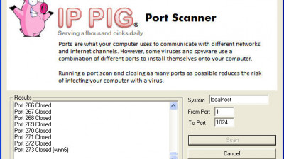 IP Pig Port Scanner